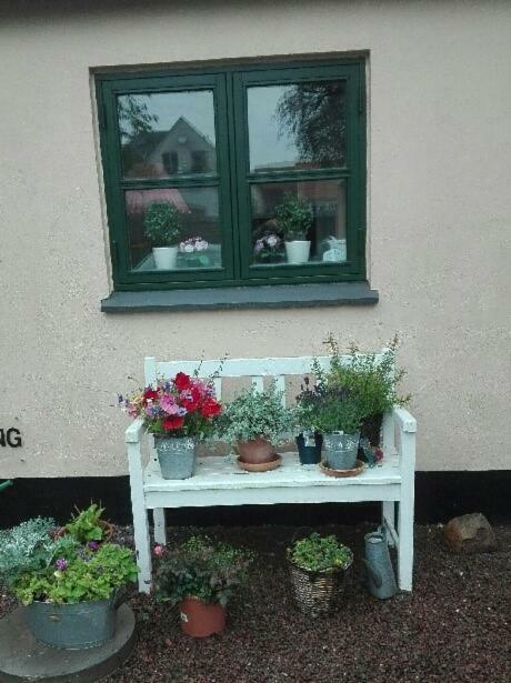 Pegasus Bed And Breakfast Helsinge Exterior foto